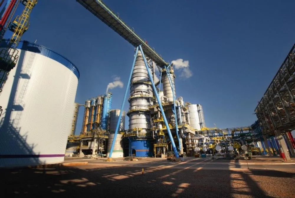 Suzano contribui para retirar mais de 140 mil pessoas da pobreza em cinco anos com iniciativas sociais