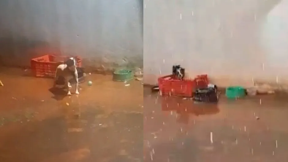 Cachorro mantido ao relento gera preocupação de vizinhos e denúncias no Parque do Sol