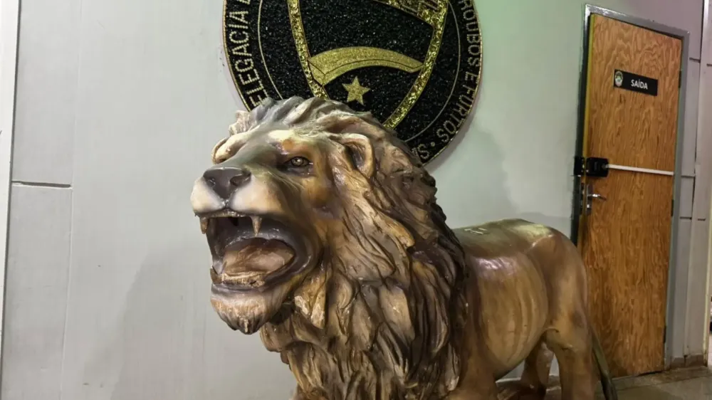 Leão furtado de lanchonete fez “tour” por Campo Grande antes de ser recuperado