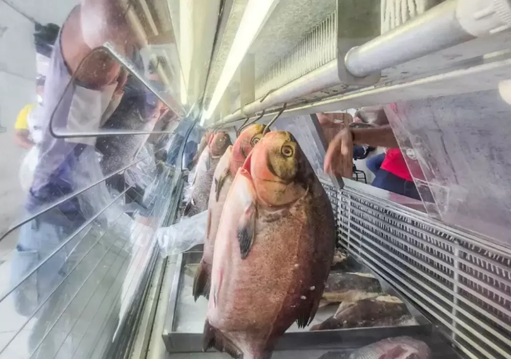 Mato Grosso do Sul inicia campanha de 15 dias para aumentar consumo de pescado